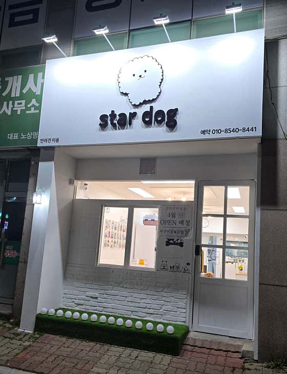 스타도그