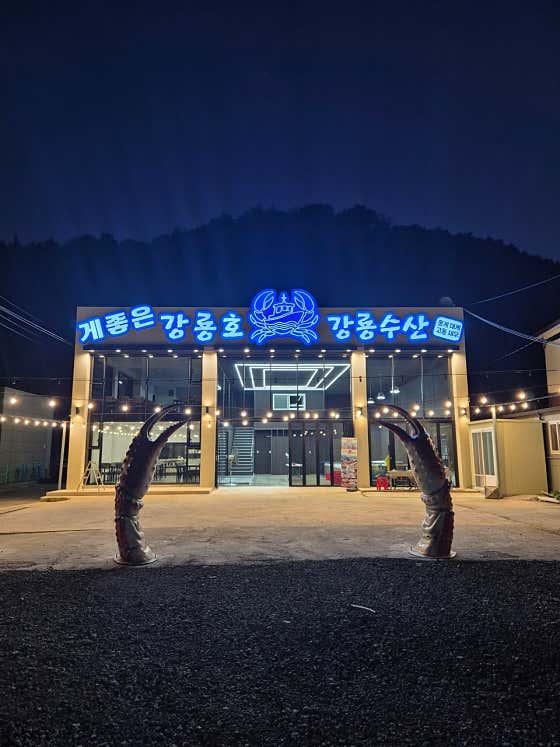 게좋은 강룡호
