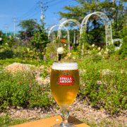 스텔라 생맥주 메뉴 사진(네이버)