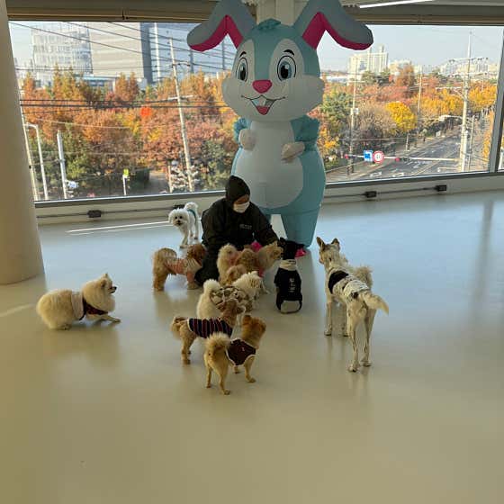 무지개 · 네이버 지도·플레이스 5