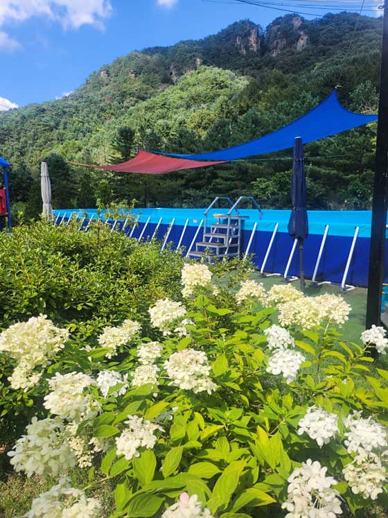 산정호수돌고래캠핑장 대표이미지