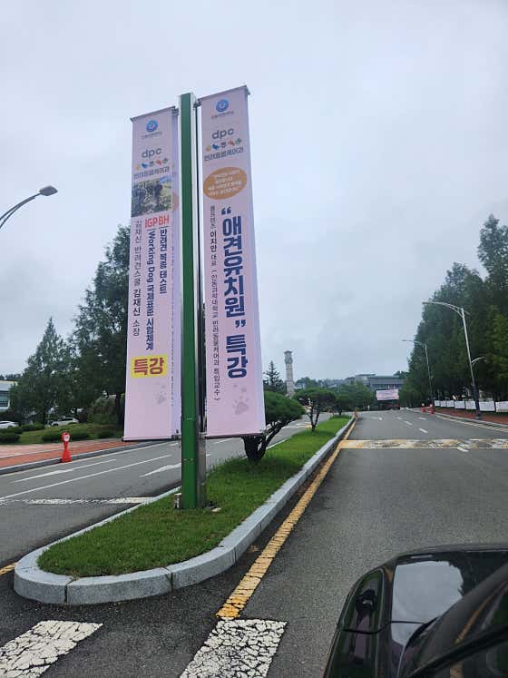 폴프렌즈 수지성복점 · 네이버 지도·플레이스 9