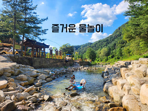 산정호수돌고래캠핑장 · 네이버 지도·플레이스 4