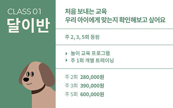 스너글리 애견유치원 애견호텔 훈련 · 네이버 지도·플레이스 6