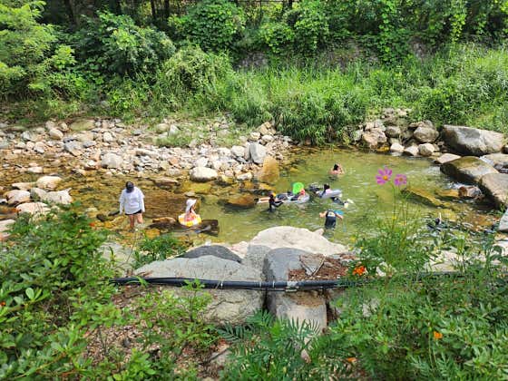 산정호수돌고래캠핑장 · 네이버 지도·플레이스 3
