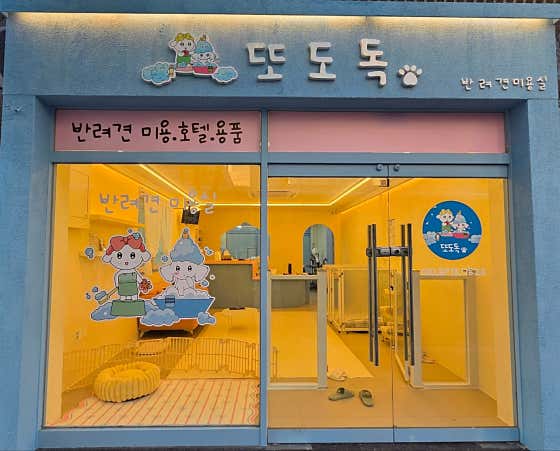 또도독