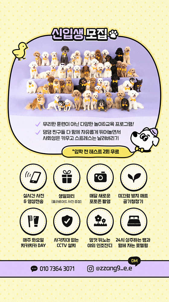 짱구야놀자 애견유치원 & 애견미용실 · 네이버 지도·플레이스 9