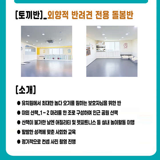 케어메이트 애견유치원 애견호텔 애견미용 · 네이버 지도·플레이스 5
