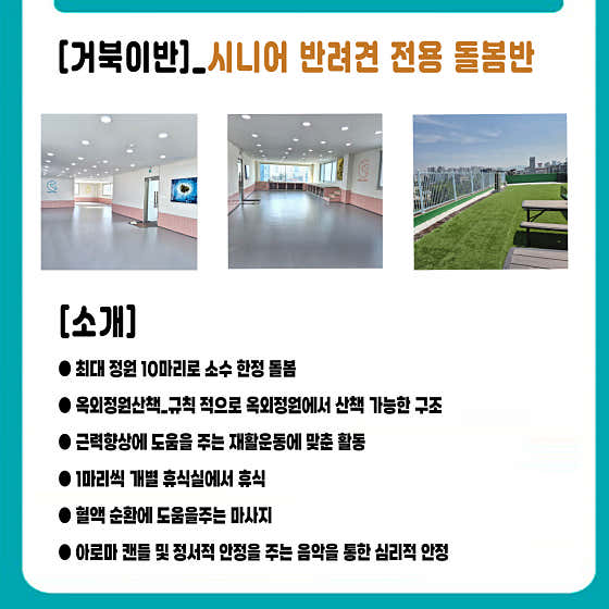 케어메이트 애견유치원 애견호텔 애견미용 · 네이버 지도·플레이스 3