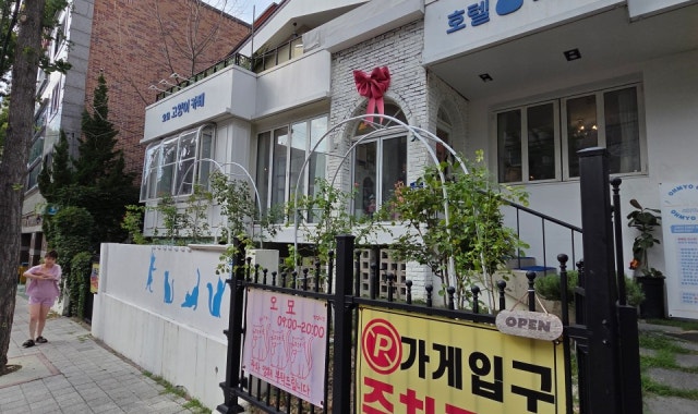 대구고양이카페오묘 대표 사진