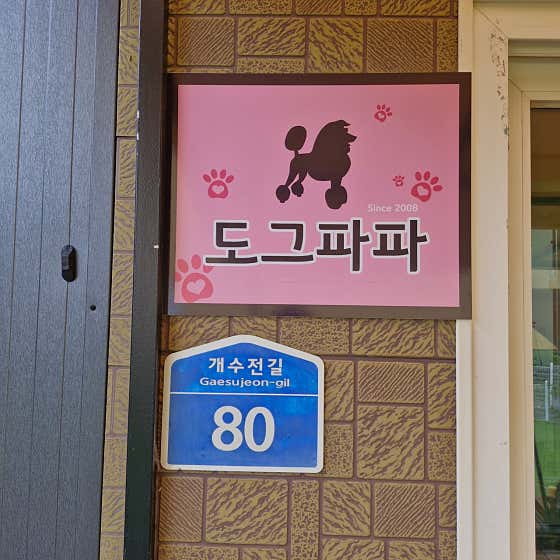 도그파파