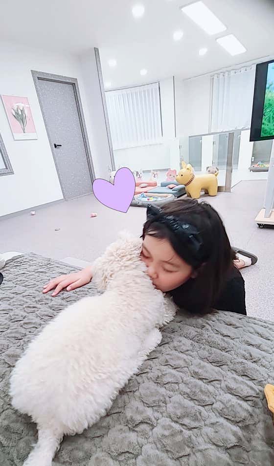 이쁘개 애견미용 애견호텔 · 네이버 지도·플레이스 4