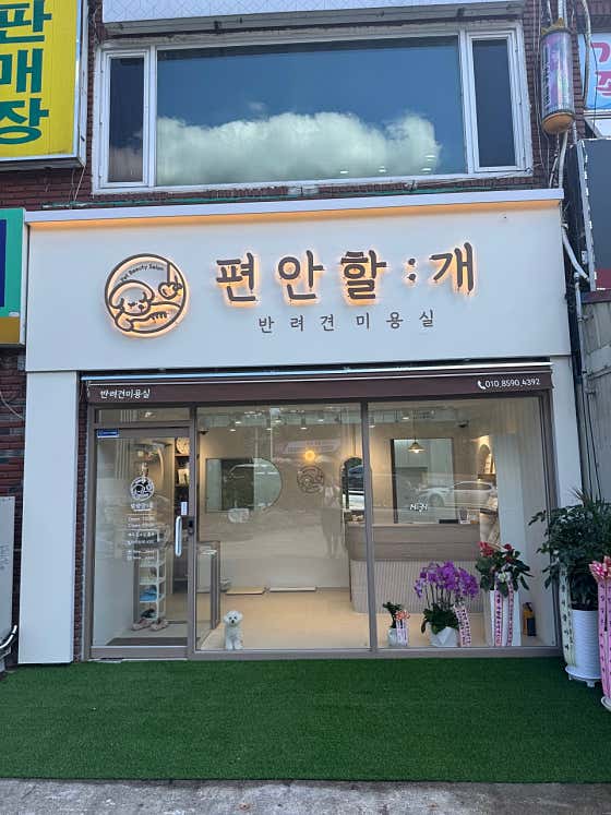 편안할개