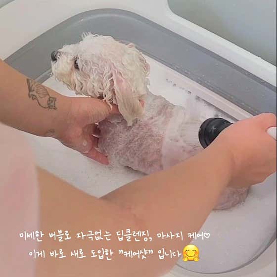버블펫쌀롱 & 씨유펫 · 네이버 지도·플레이스 6