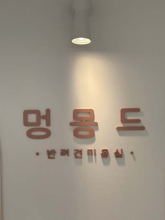 멍몽드 · 네이버 지도·플레이스 4