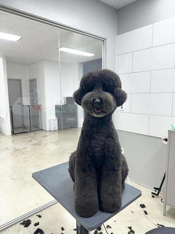 엔비살롱 · 네이버 지도·플레이스 4