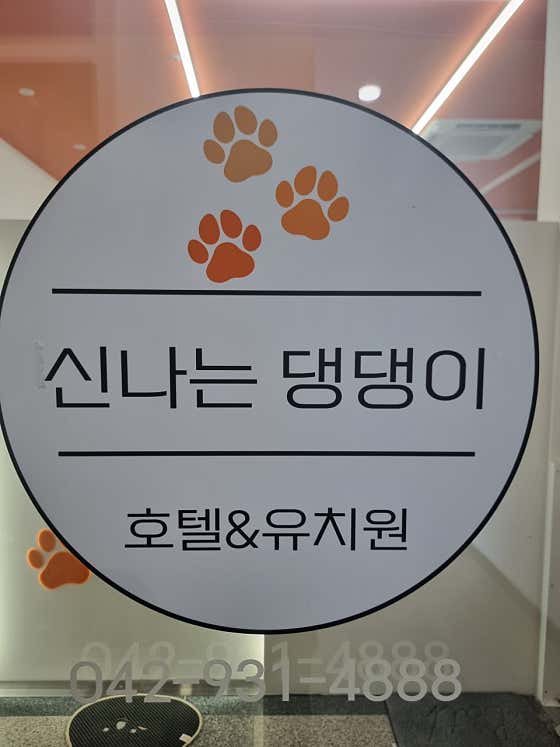 신나는댕댕이 대표이미지