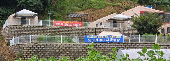 가평또바기애견동반캠핑장 · 네이버 지도·플레이스 7