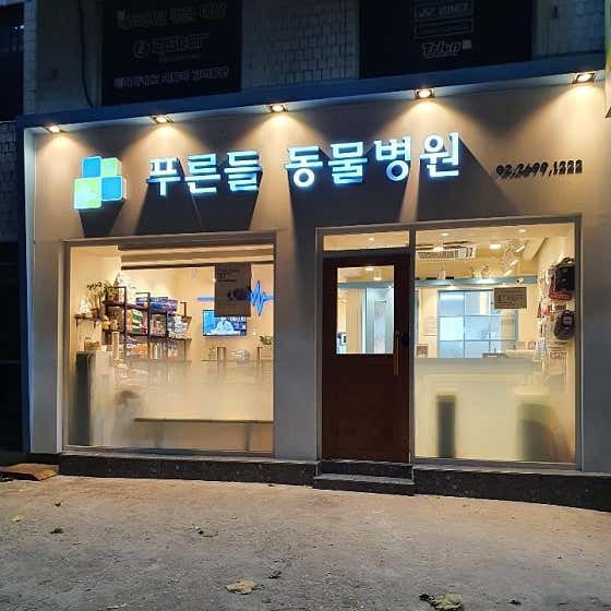 푸른들 동물병원 대표이미지