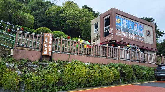 현대플라워카페 · 네이버 지도·플레이스 2