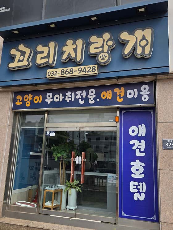 꼬리치랑개 애견호텔 고양이미용