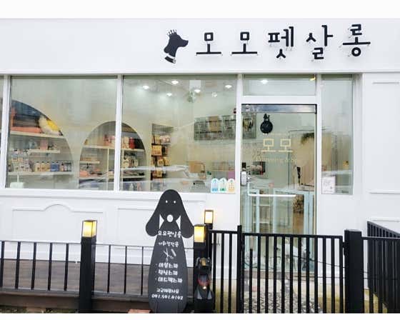 모모펫살롱 대표이미지