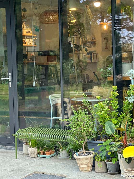 초록나무엘레브카페 · 네이버 지도·플레이스 7