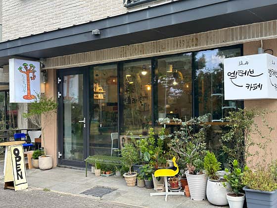 초록나무엘레브카페 · 네이버 지도·플레이스 9