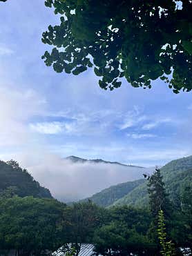 숲에안기다 사진
