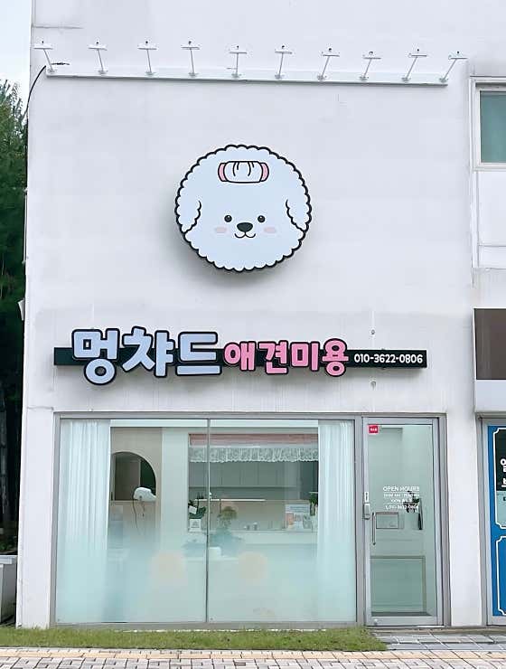 멍챠드 대표이미지