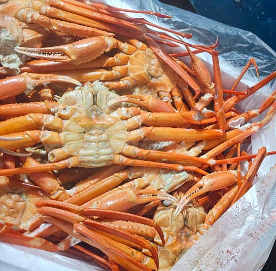 신용수산
