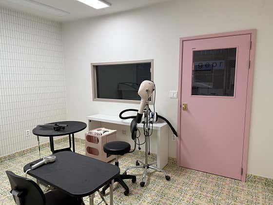멍멍펫살롱 · 네이버 지도·플레이스 5