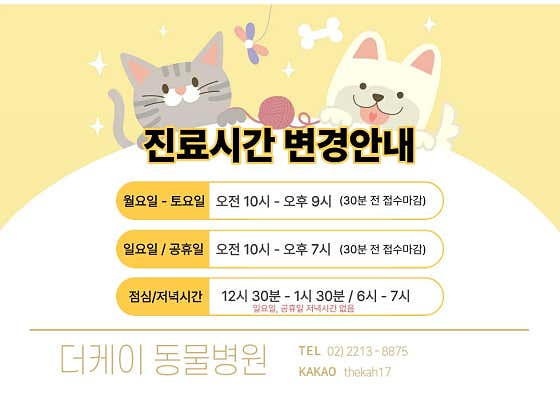 더케이동물병원 대표이미지