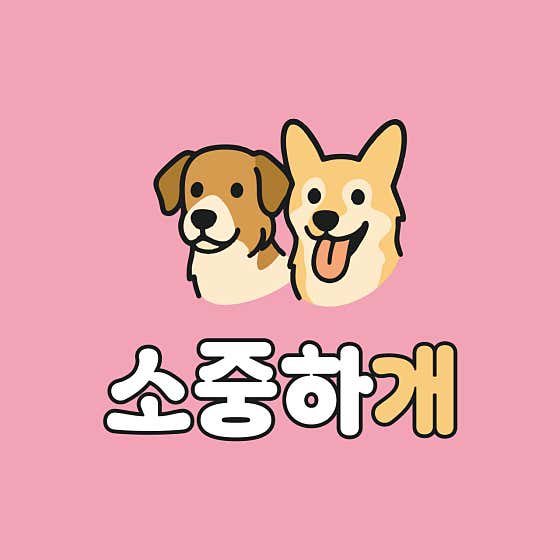 소중하개 해운대강아지애견미용