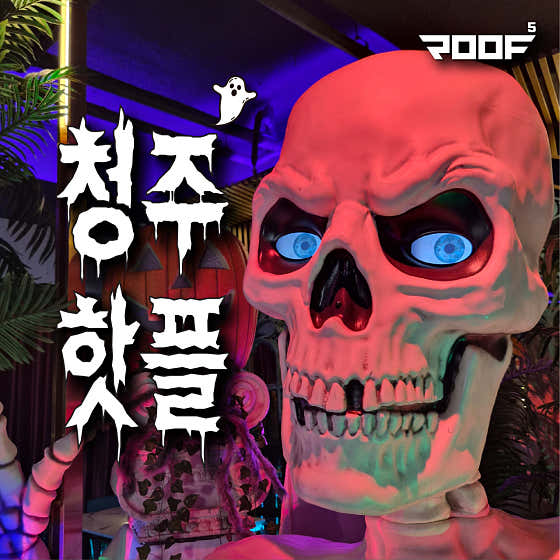 루프5