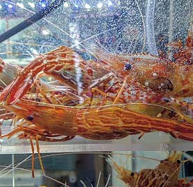 죽변항 사진 5