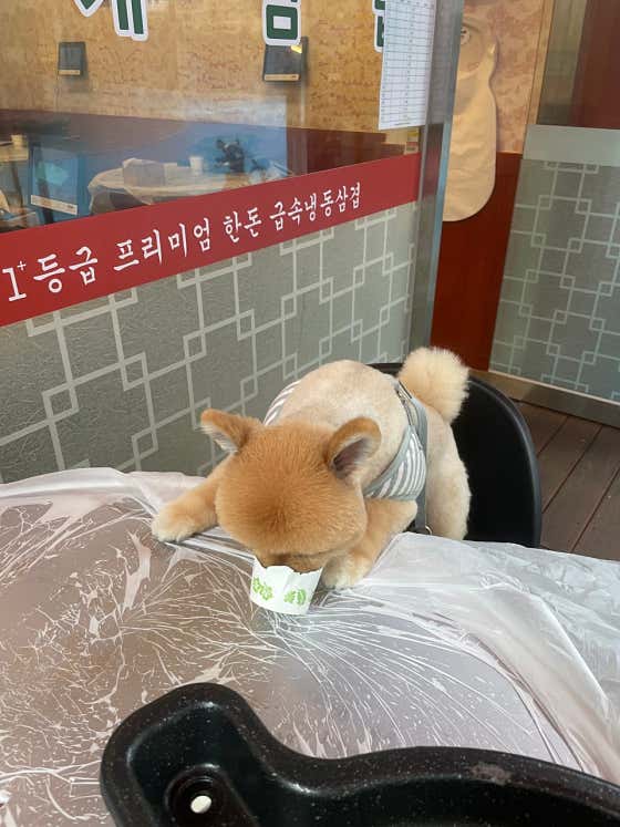 부원냉삼집 해운대장산점 · 네이버 지도·플레이스 10