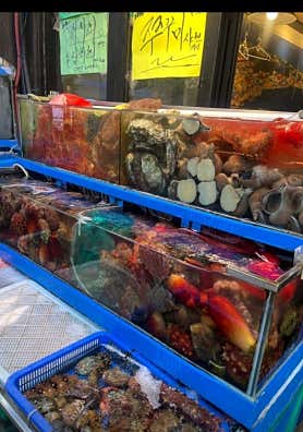 죽변항 사진 3