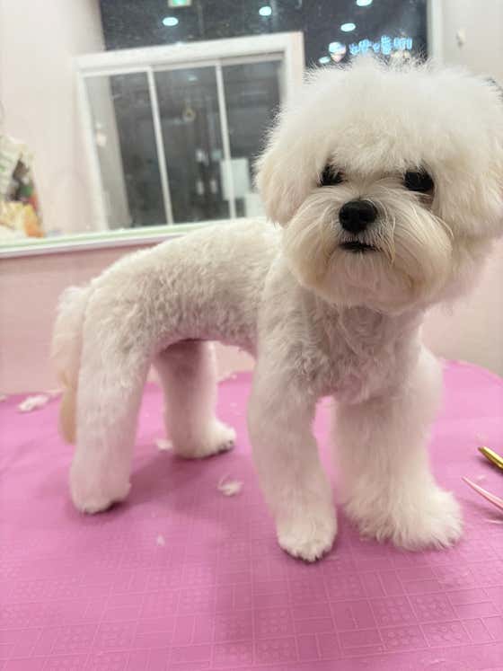 개화기 · 네이버 지도·플레이스 2