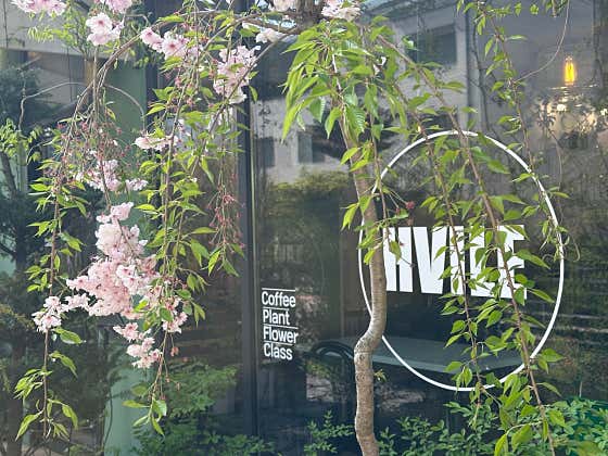 카페 빌레