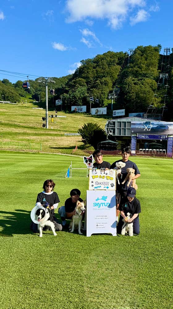 스카이런 어질리티클럽 · 네이버 지도·플레이스 7