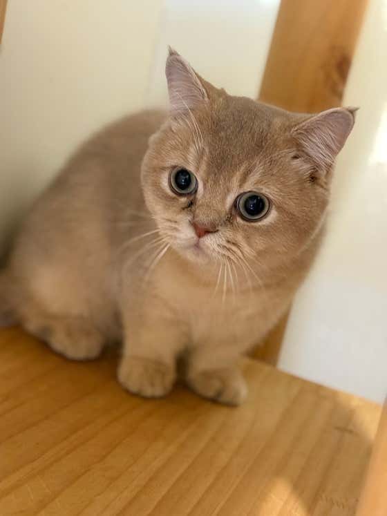 묘성급호텔 · 네이버 지도·플레이스 3