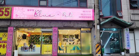 블루펫 대표이미지