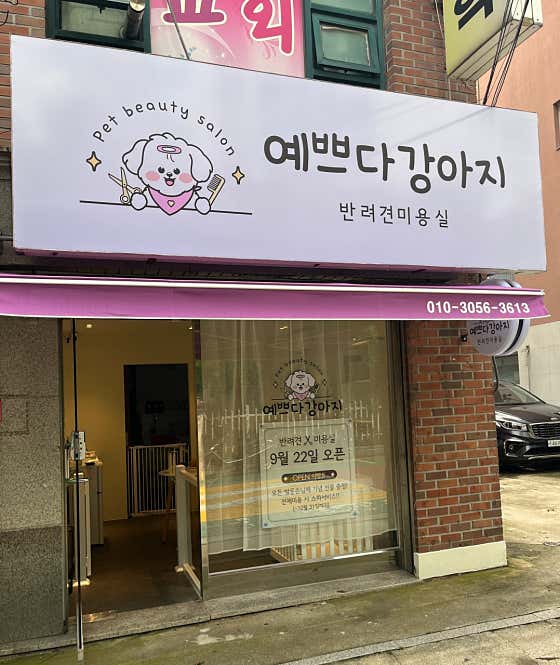 예쁘다 강아지 · 네이버 지도·플레이스 3