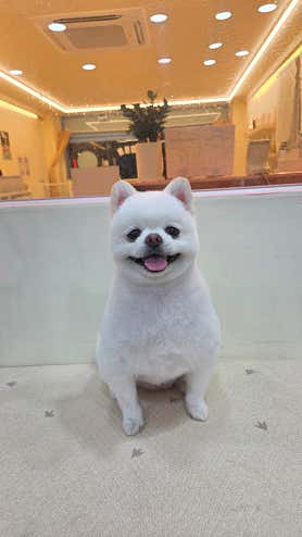 또도독