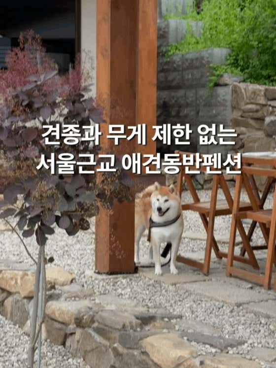 스테이옛 우리 · 네이버 지도·플레이스 2