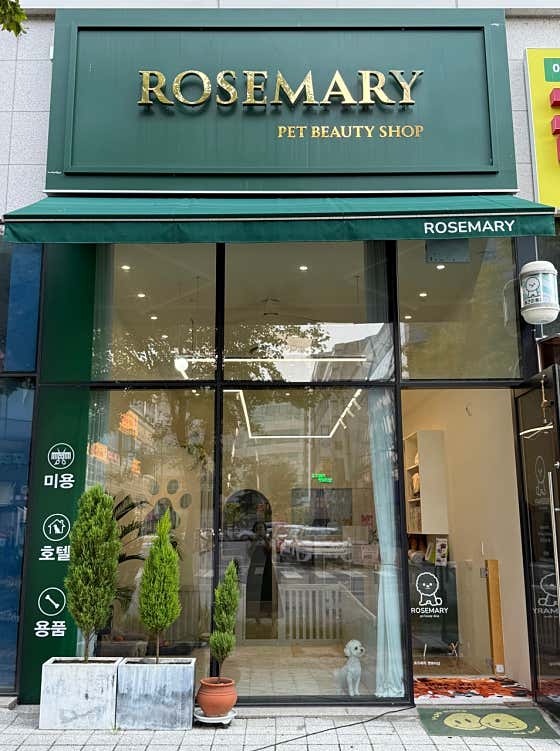로즈메리펫뷰티샵