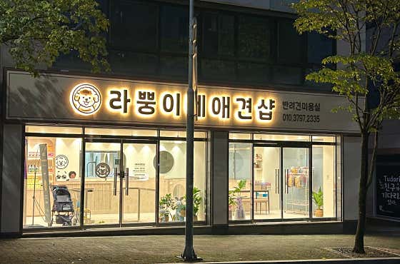 라뿡이네애견샵 · 네이버 지도·플레이스 3