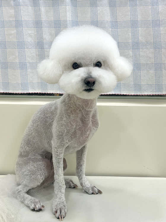따따시몽 · 네이버 지도·플레이스 6