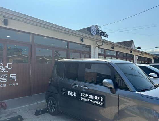 영종독반려견호텔유치원 · 네이버 지도·플레이스 2